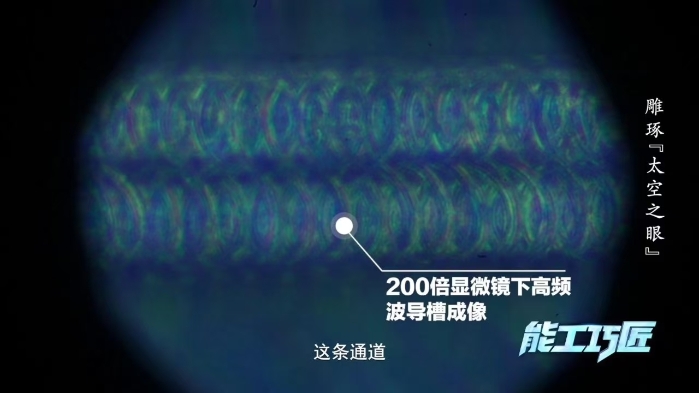 &#20048;&#40060;