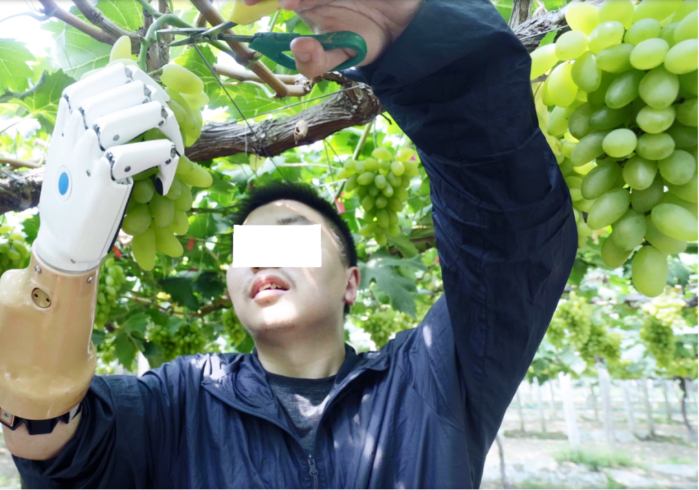 &#20048;&#40060;